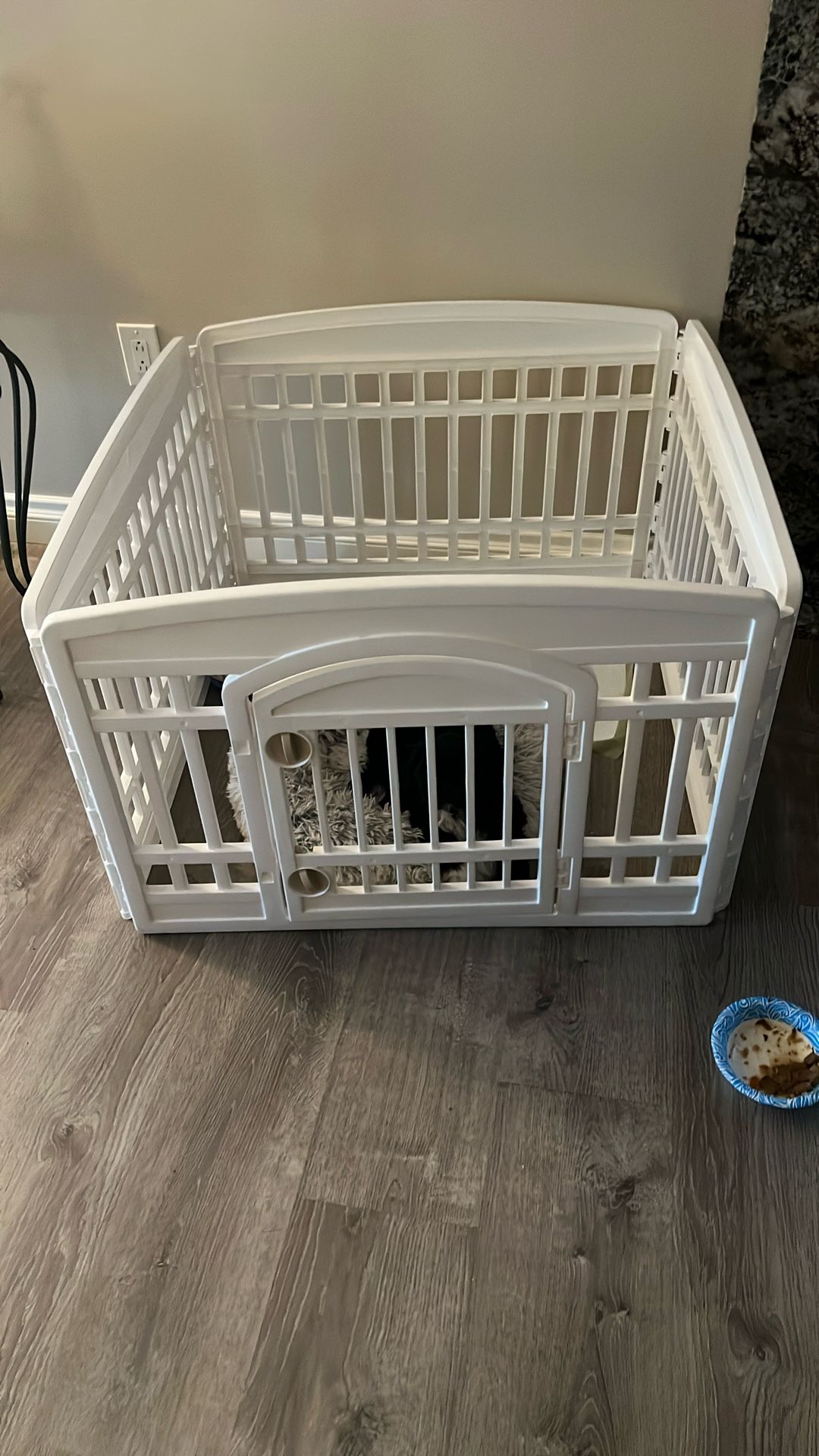 Dog Play Area