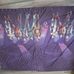 Descendants 4 Pack Curtains