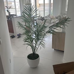 Palm Tree Artificial