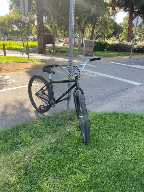 29 Inch Gt Limited Edition Bike