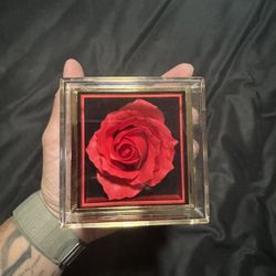 Beautiful Daniel Jewelry Rose Case