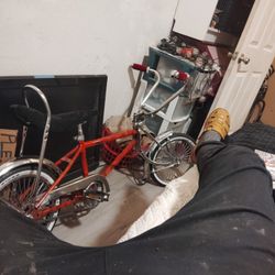 Custom 16 Inch Lowerider Bike