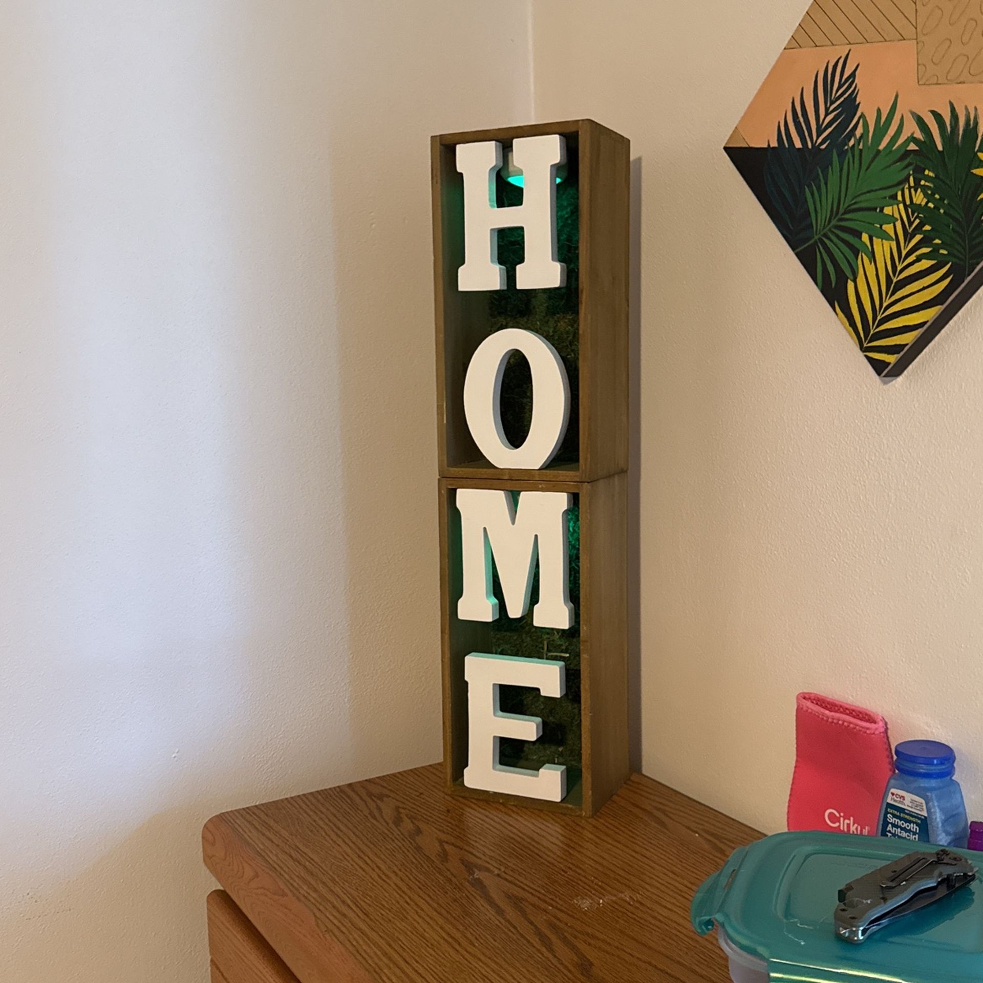 Home Sign With Lights And Realistic Moss