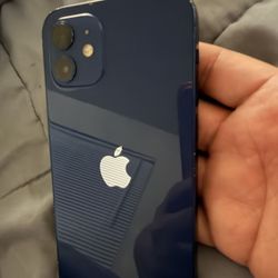 iPhone 12 Unlocked 🔓 