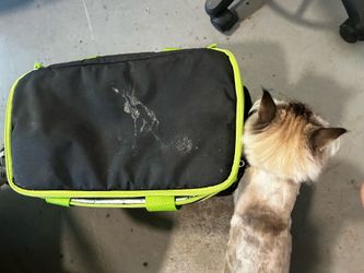 Insulated Cooler