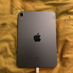 iPad Mini (Purple) 6th Generation 