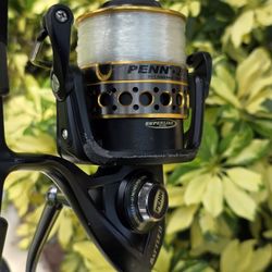 Penn Battle2 Reel/New Line/New Rod