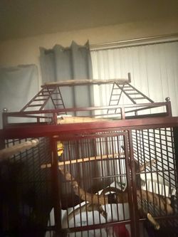 Bird cage
