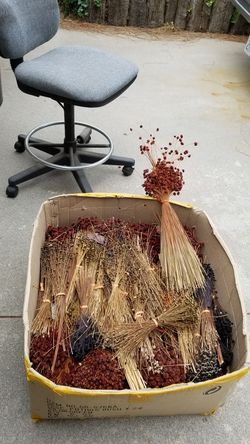 Dried flowers
