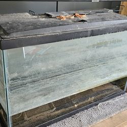 2 Fish Tanks