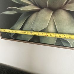 Succulent Art With Brass/Gold frame