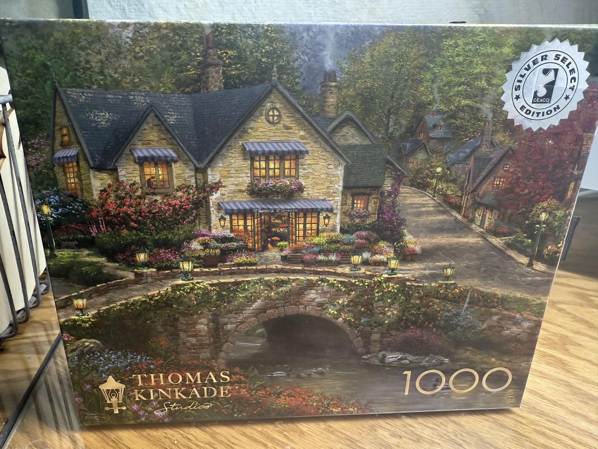 Jigsaw Puzzles Thomas Kinkade Terry Reskin Kodak Scenery Fun Time