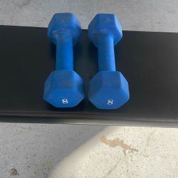 8 Pound Dumbbells