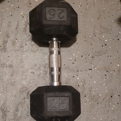 25lb dumbbell