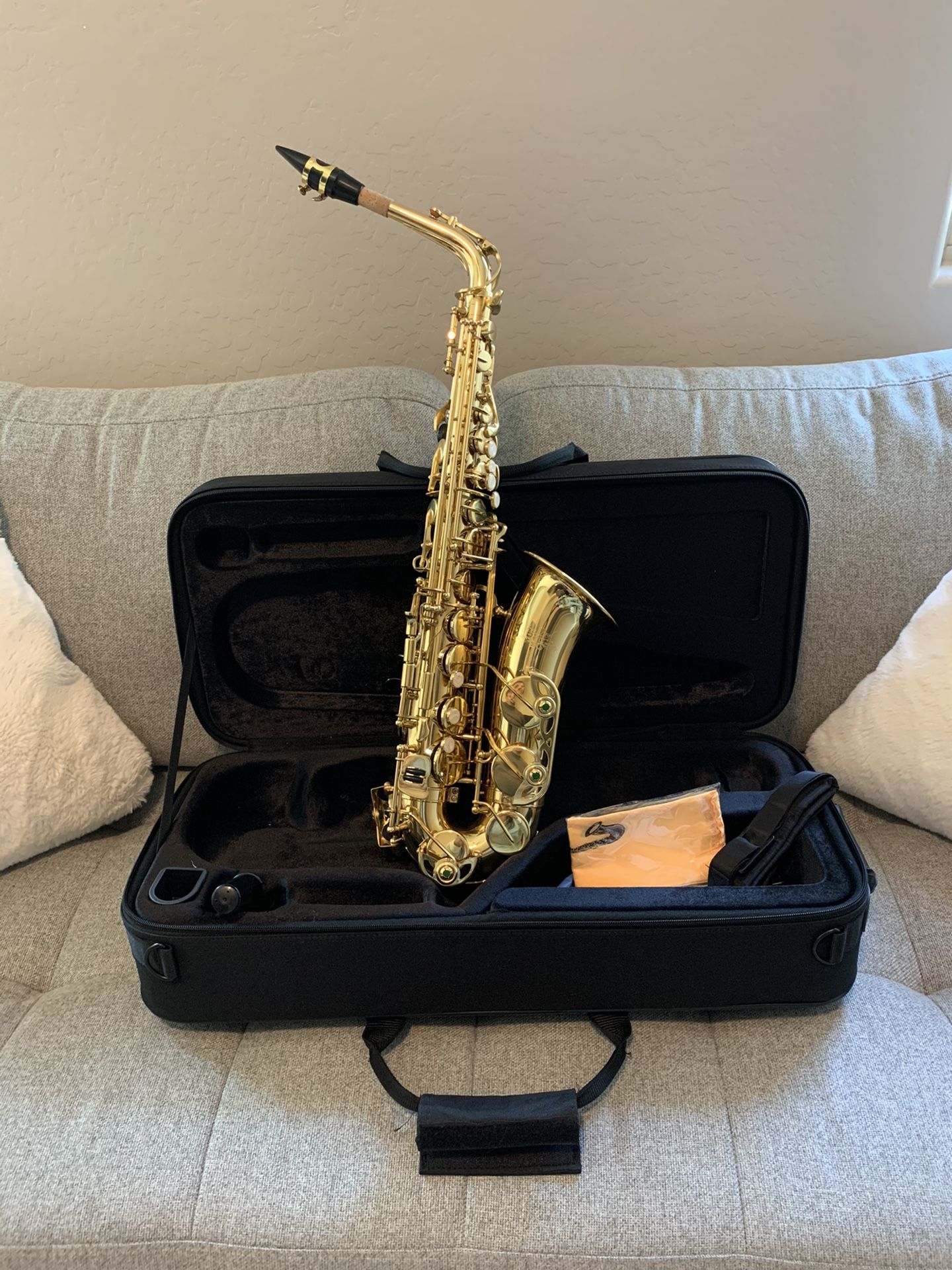 Jean Paul Alto Saxophone $375