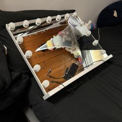 Fenchilin Led Mirror