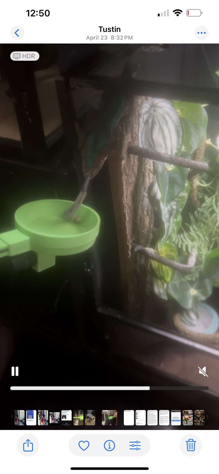 Dancing bugs, vibrating bowl, and magnetic holder