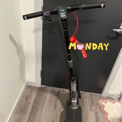 Electric Scooter