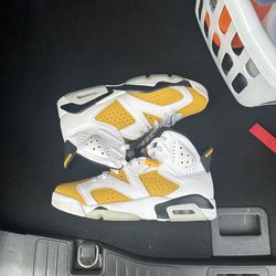 Jordan 6s