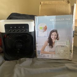 Desk Fan 