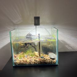 Nano Fish Tank