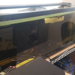 55-gal Aquarium With Light And Filter