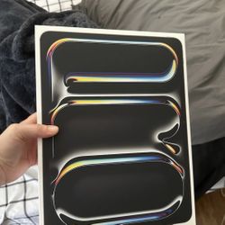iPad Pro 13inch M4 