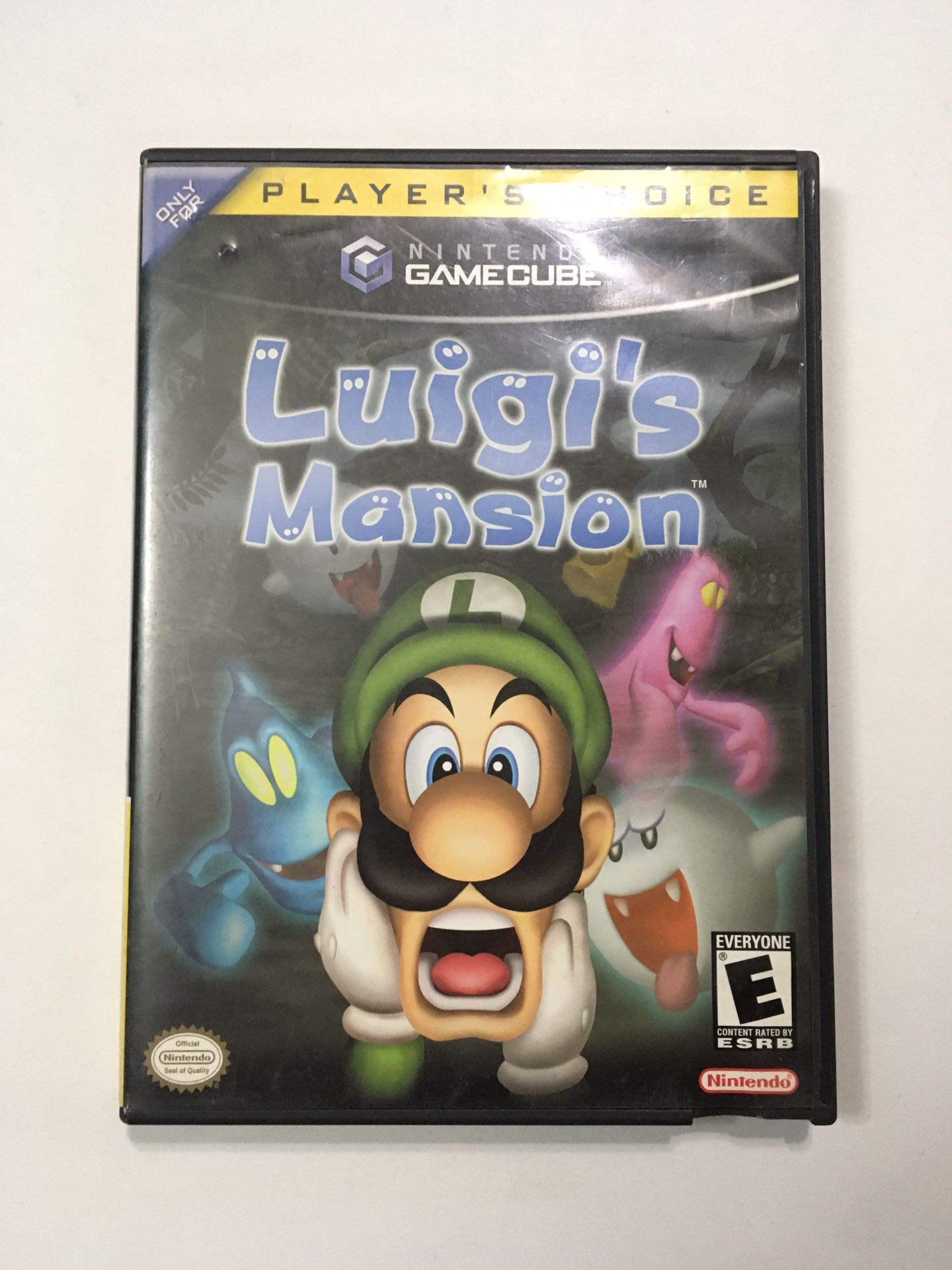 LUIGIS MANSION CASE AND MANUAL ONLY
