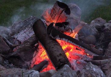 Firewood - Red Oak