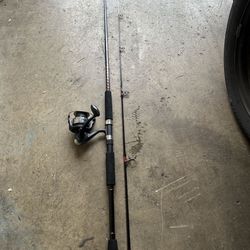 Fishing Rod And Reels 