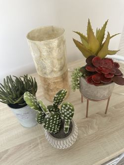 Fake Plants and Lamp