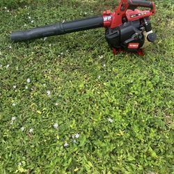 Leaf Blower Needs Work