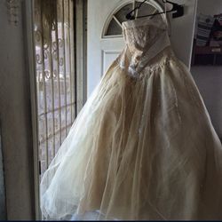 Quinceaṅera Dress For Women Adjustable Size 2XL/3XL