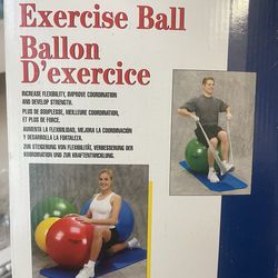 Exercise ball - Bounce ball - workout ball