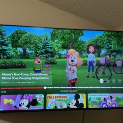 Hisense Roku TV, 58 inches, lightly used