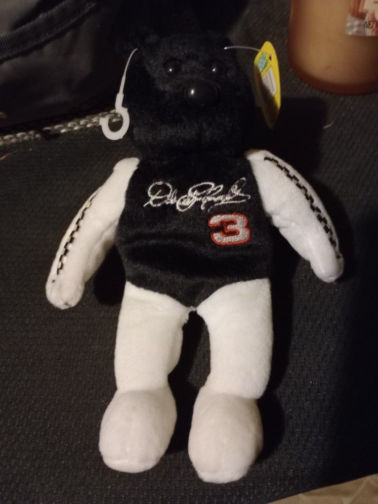 Dale Earnhardt Beanie Baby.