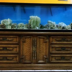 Fish Tank