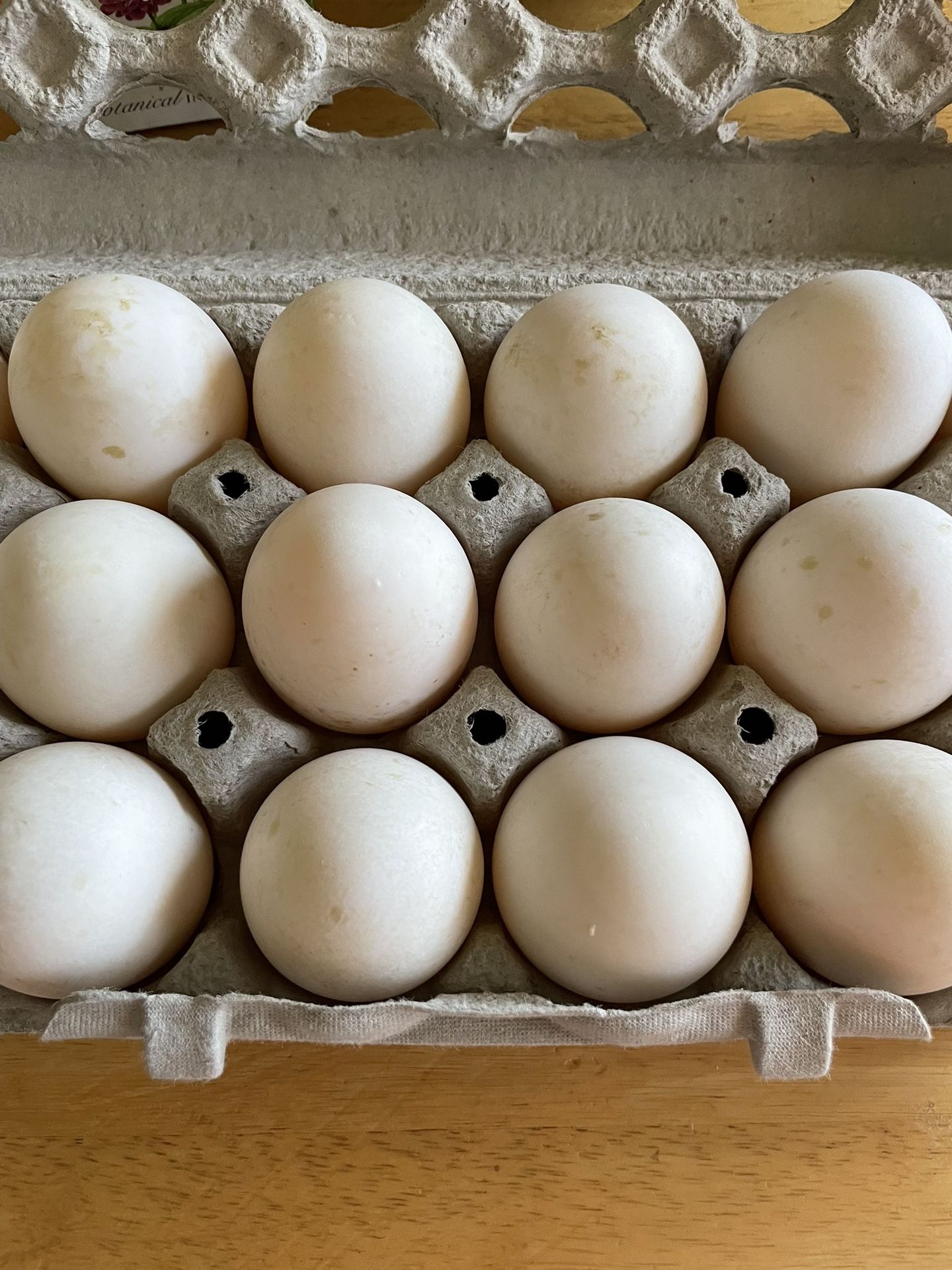 Duck Eggs