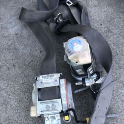 Honda Accord seatbelts
