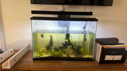 Fish tank