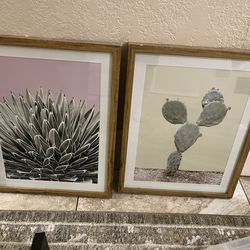 Project 62 Cactus Wall Art