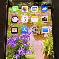iPhone 11 Pro max, 256, Unlocked