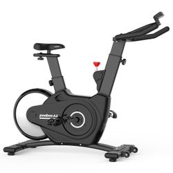 Magnetic Resistance Rear Flywheel Exercise Bike