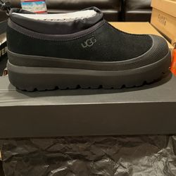 Mens ugg tasman