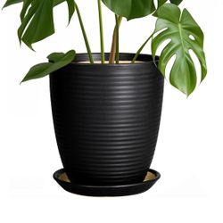 8 Inch Ceramic Planter