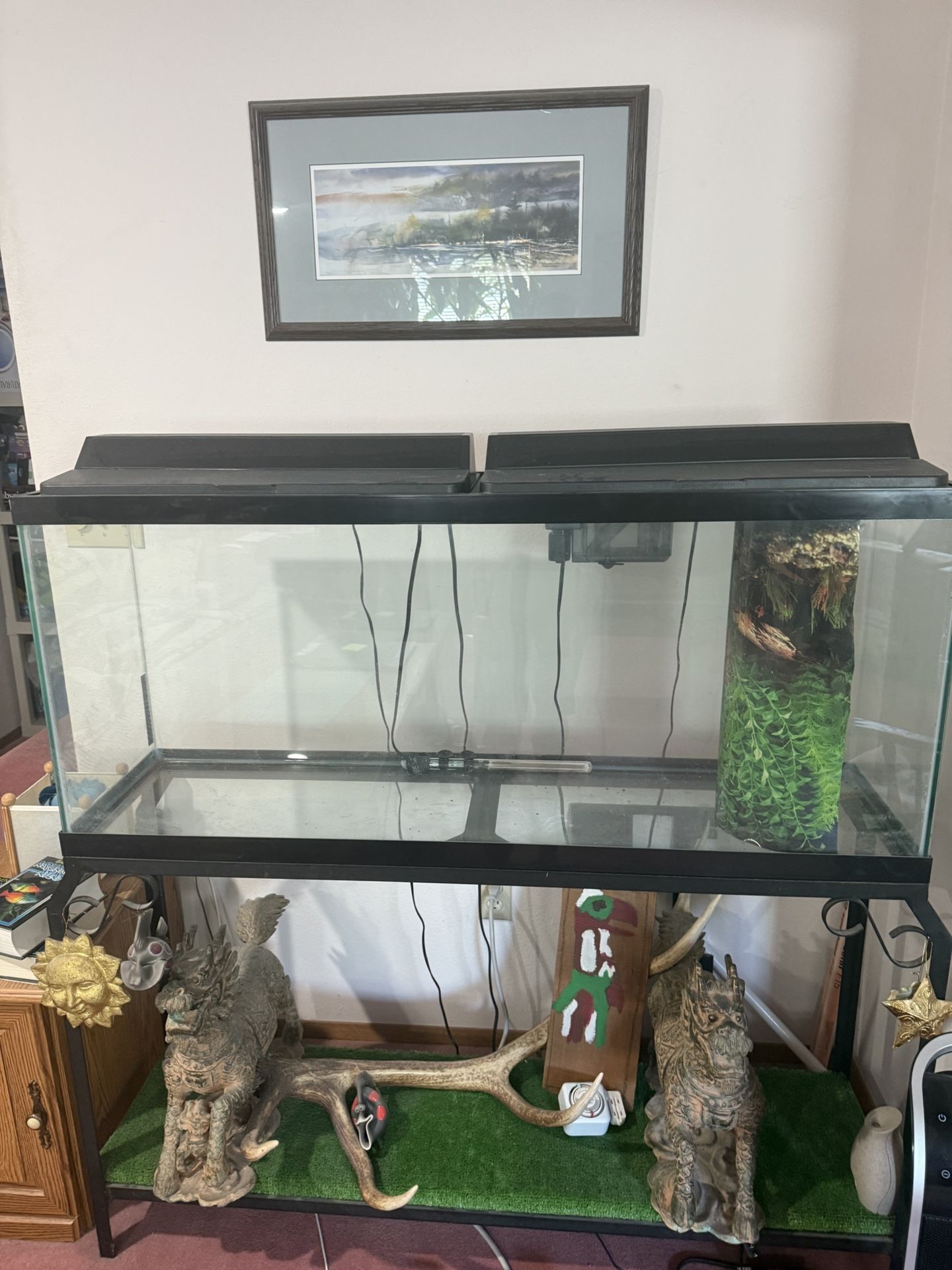 Aquariums - 55 Gallon and 10 Gallon
