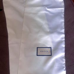 Gucci Shoes Bag