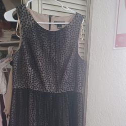 Cute Pocka Dot Dress