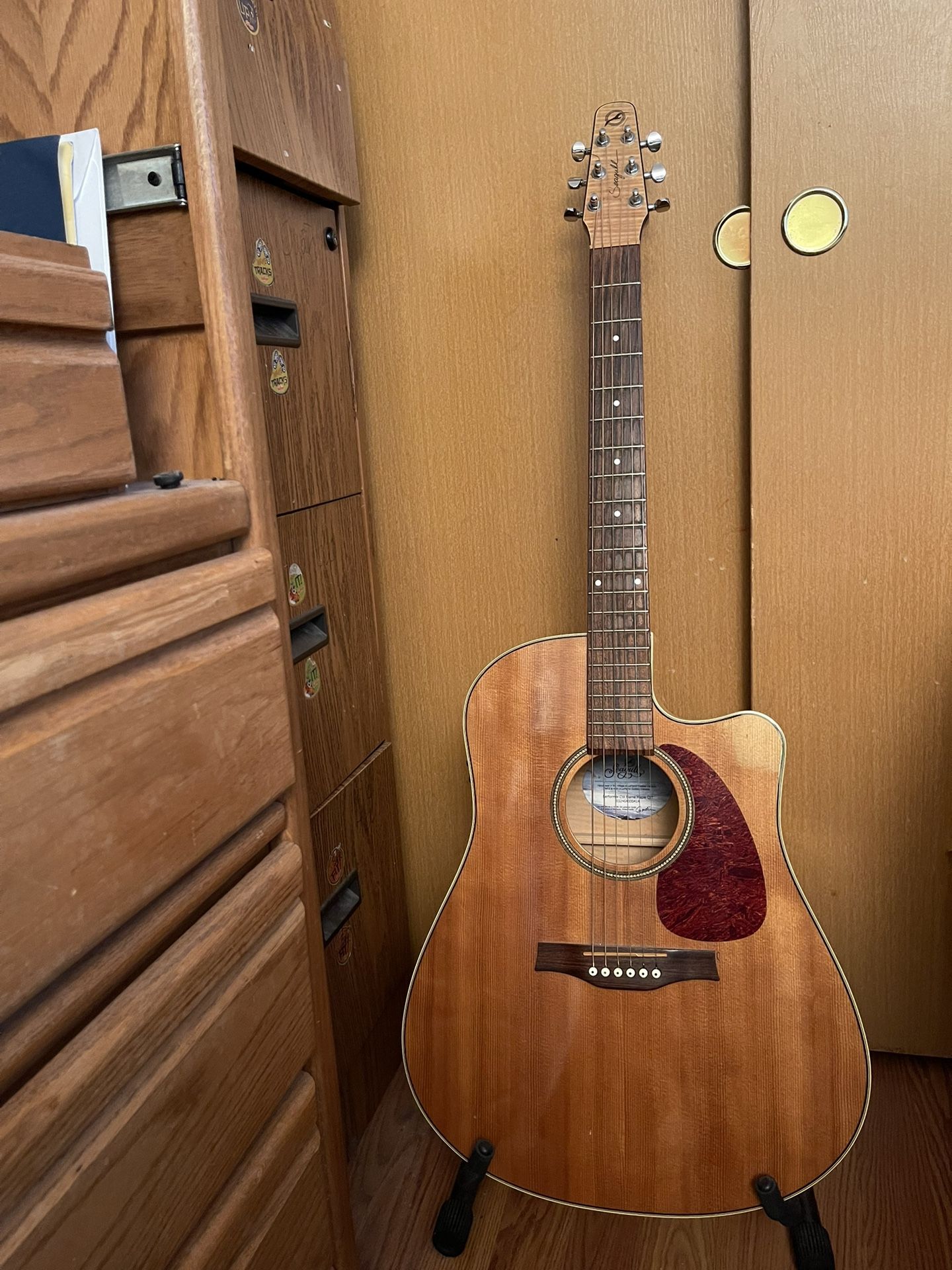Seagulls Acoustics Electric Guitar  Including Carry Case 
