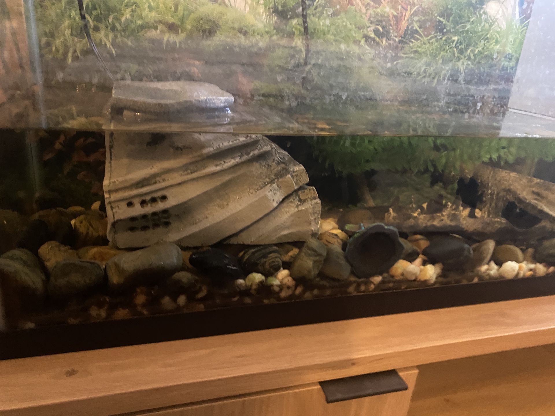 Aquarium and Table